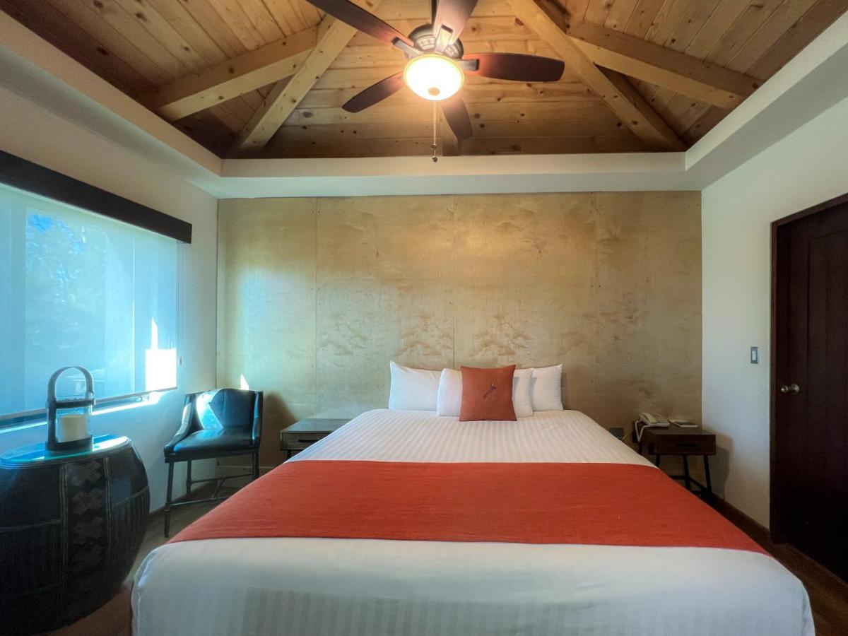 Bottega Hotel Boutique Valle de Guadalupe Bilik gambar